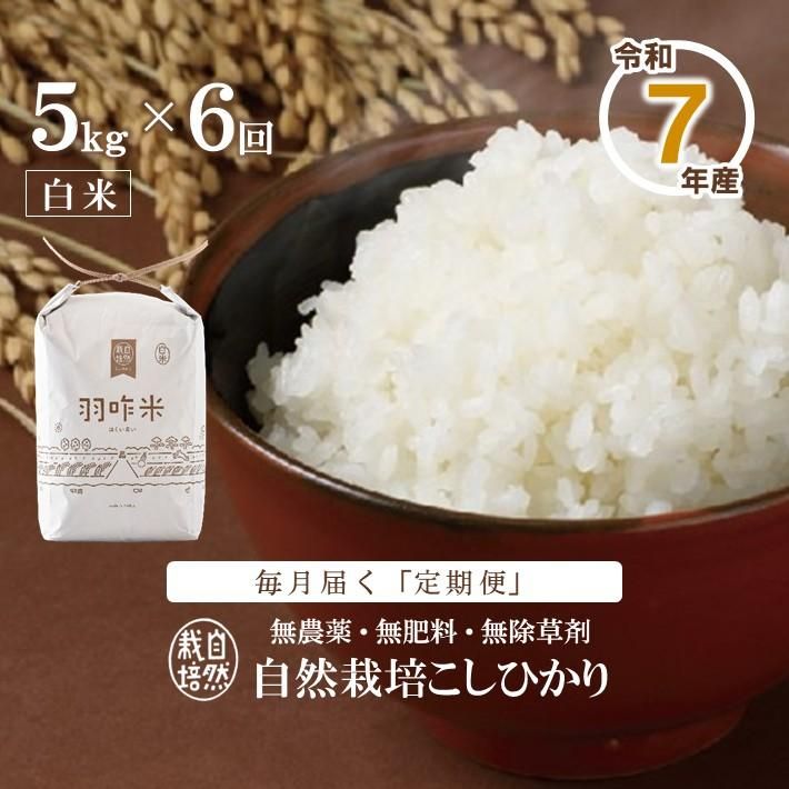 12ȯϡۡ T011 ̵ǽФΤ꼫ݤҤرơơˡ 5kg6󥳡