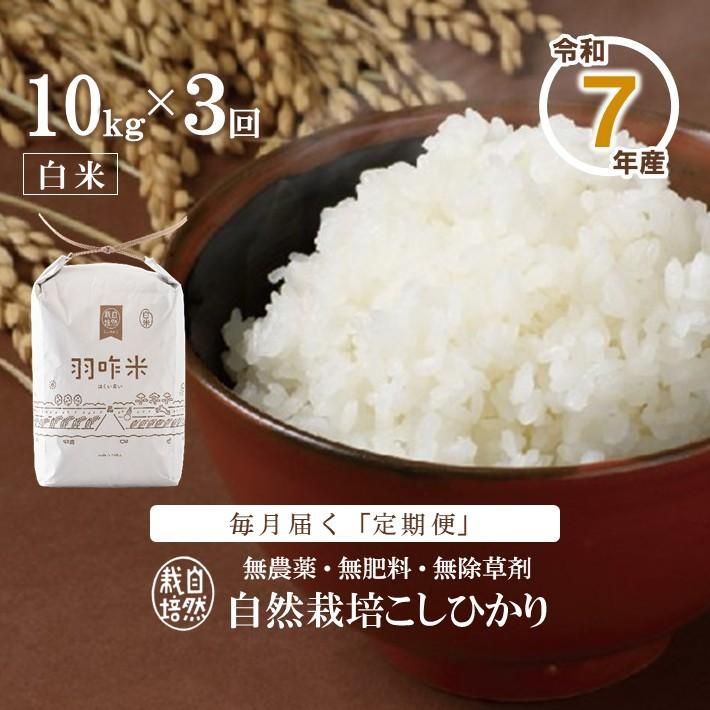 12ȯϡۡء T017 ̵ǽФΤ꼫ݤҤرơơˡ 10kg3󥳡