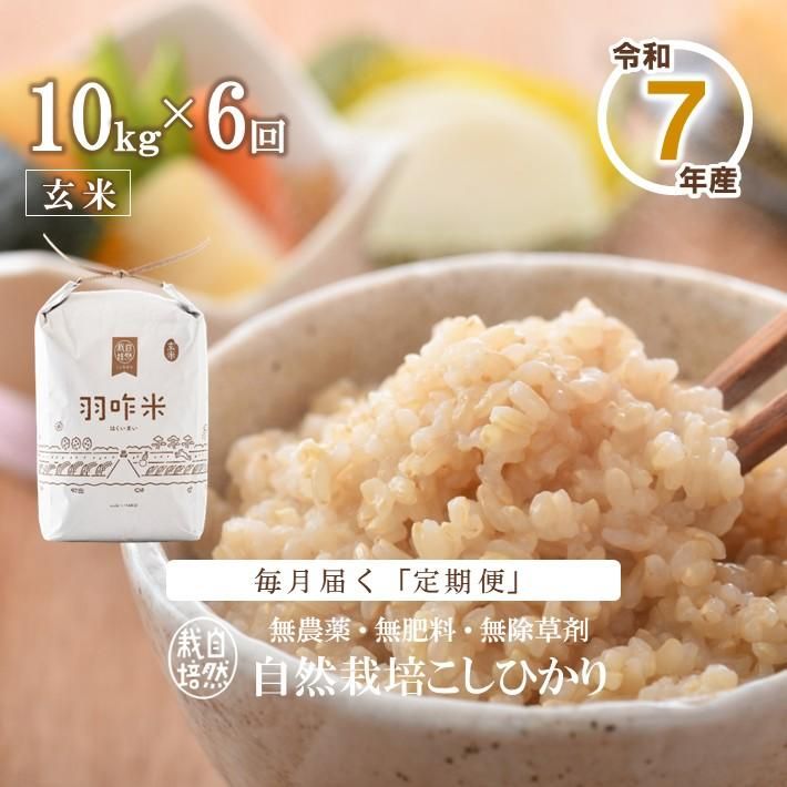 12ȯϡۡء T020 ̵ǽФΤ꼫ݤҤرơʸơˡ 10kg6󥳡