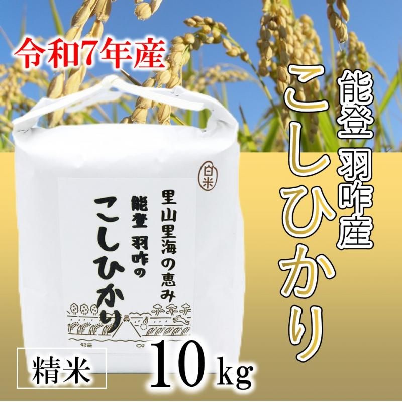 7ǯۡڿơ۱Ի Ҥ 10kg<img class='new_mark_img2' src='https://img.shop-pro.jp/img/new/icons14.gif' style='border:none;display:inline;margin:0px;padding:0px;width:auto;' />