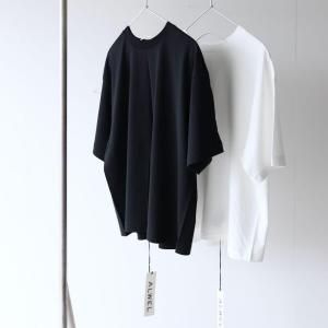 <img class='new_mark_img1' src='https://img.shop-pro.jp/img/new/icons13.gif' style='border:none;display:inline;margin:0px;padding:0px;width:auto;' />ALWEL / HARF SLEEVE BOXY T(2color)