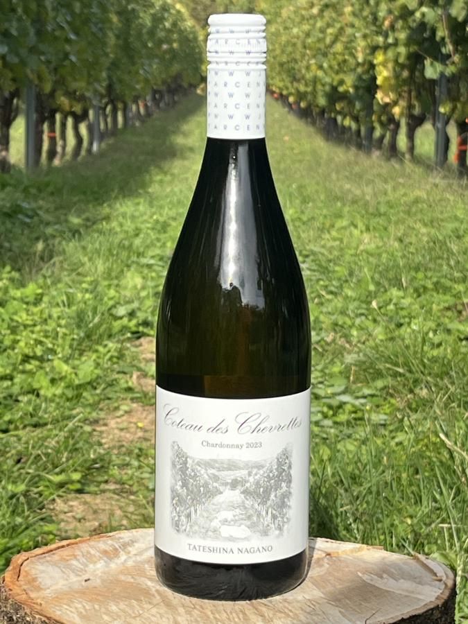 ト*畑様 ☘️スペシャルイベント☘️3184 【Ash】【BELCHERI】クリ サボバケツ栽培キット ウチワサボテン - SEISHIN PLUS