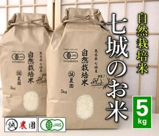 令和4年熊本県産「JAS認定:七城のお米5kg」白米