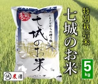 令和4年熊本県産「七城のお米5kg」白米
