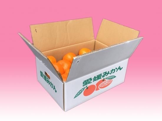愛媛みかん【愛媛県産・2Lサイズ】5K入 - ヘルシーフーズやまお
