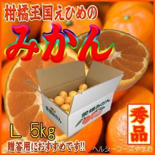 愛媛県産 家庭用 愛果28号 柑橘 10kg