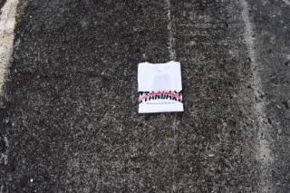 standard california / AHSD Skater Logo T (White)