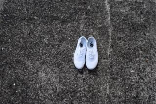 VANS / AUTHENTIC (TRUE WHITE)