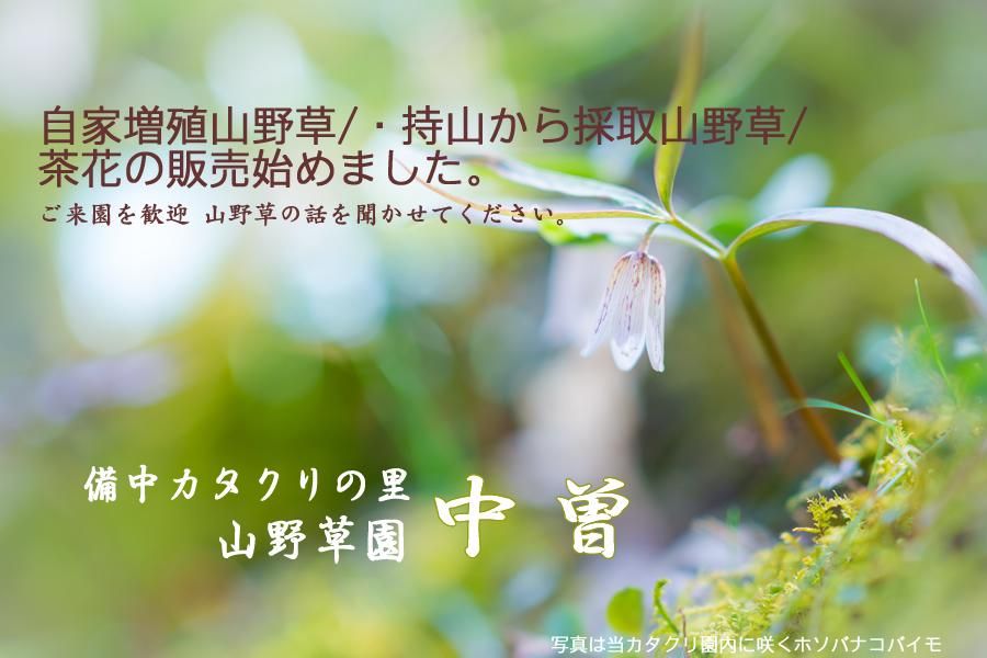 楫Τ黳