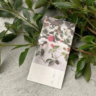 <img class='new_mark_img1' src='https://img.shop-pro.jp/img/new/icons3.gif' style='border:none;display:inline;margin:0px;padding:0px;width:auto;' />Τ 2026 / ֤Ȳ̼