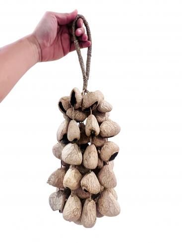 パンギ(木の実)ラトル XLサイズ / Pangi rattle - 世界の楽器 RAGAM