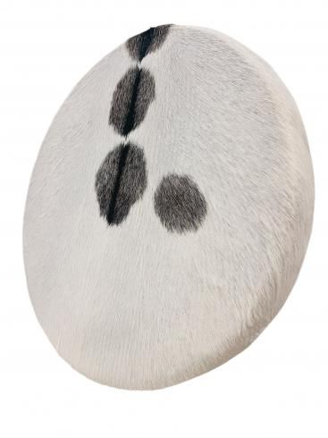 㡼ޥɥ 塼ʥ֥ 50cm  02 / Shaman Drum tunable with hair<img class='new_mark_img2' src='https://img.shop-pro.jp/img/new/icons14.gif' style='border:none;display:inline;margin:0px;padding:0px;width:auto;' />