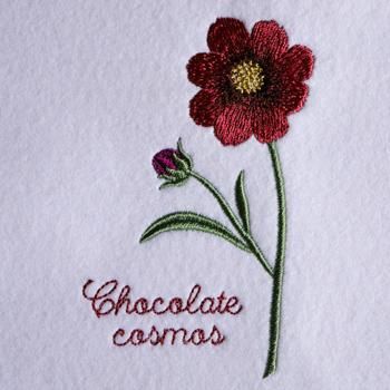 ワンコイン デザインpack112 チョコレートコスモス 3種類 刺繍データ ワンコイン デザインpack112 チョコレートコスモス 3種類 刺繍データ