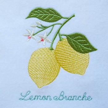 オリジナル　刺しゅう 刺しゅうの基礎&ステッチ100: 糸の刺しゅう・ビーズ刺しゅう