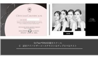 DNA Cスクール協会テキスト