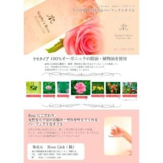 롡ξ̥饷10