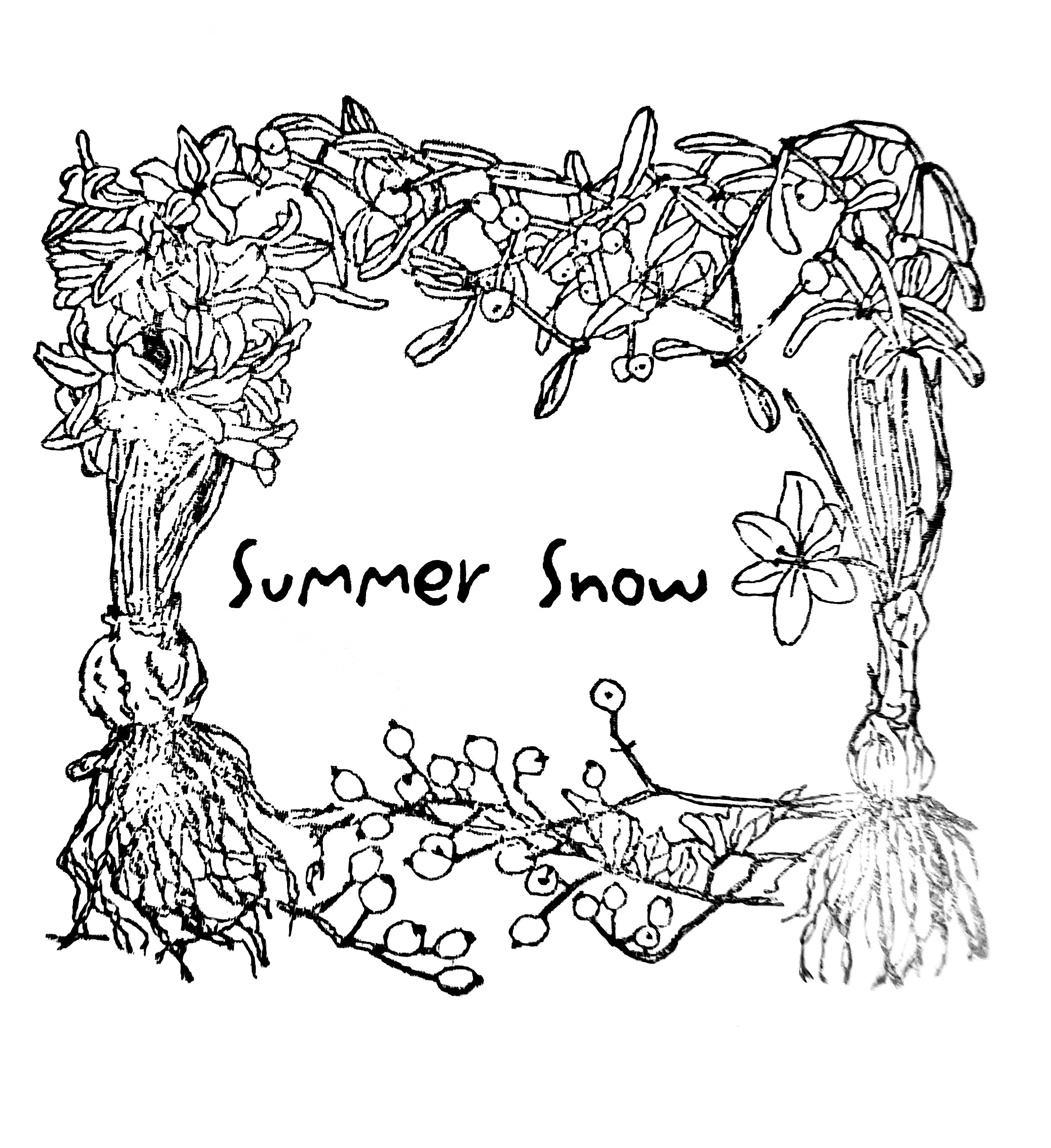 ドライフラワーブーケ・スワッグ - summer snow 夏雪