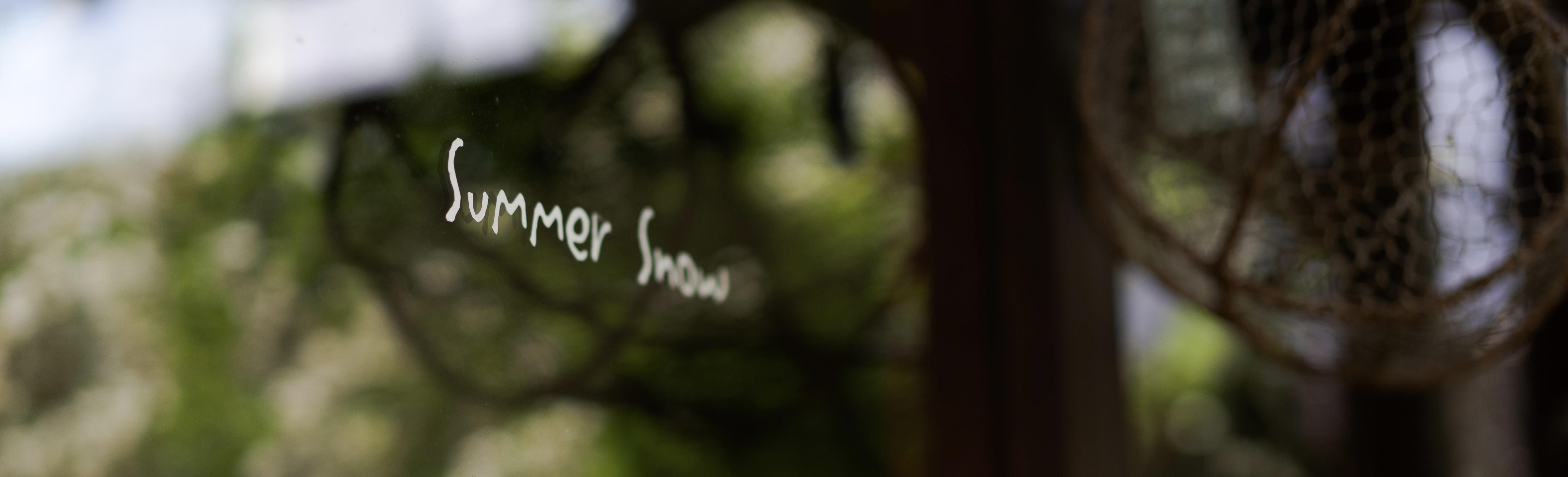 summer snow 夏雪