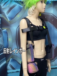 <img class='new_mark_img1' src='https://img.shop-pro.jp/img/new/icons10.gif' style='border:none;display:inline;margin:0px;padding:0px;width:auto;' />CYBERDOG : HARNESS BAG