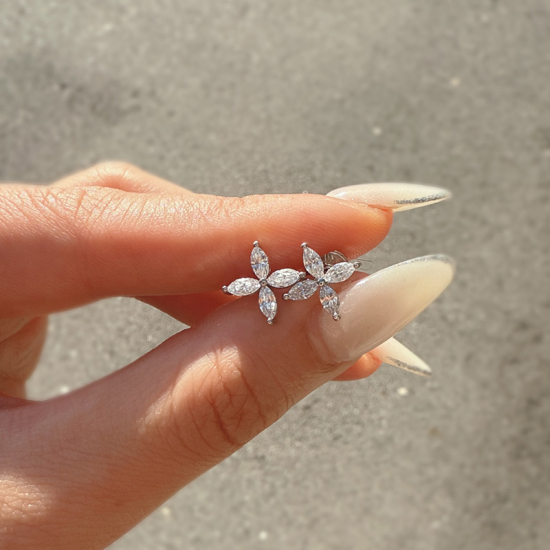 ȥꥢԥ  ڿ͹ɡۡAP͹