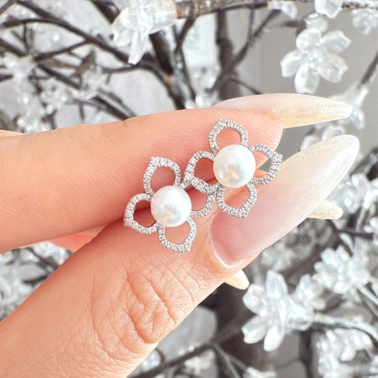 եѡԥ ͹ɡѡ6Сѡ롡ѡ롡