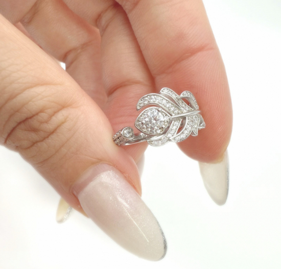 ڥȥåȡץ롡̤ʡۥץե󥰡AP͹ ͹ɡ֥󥰡1012