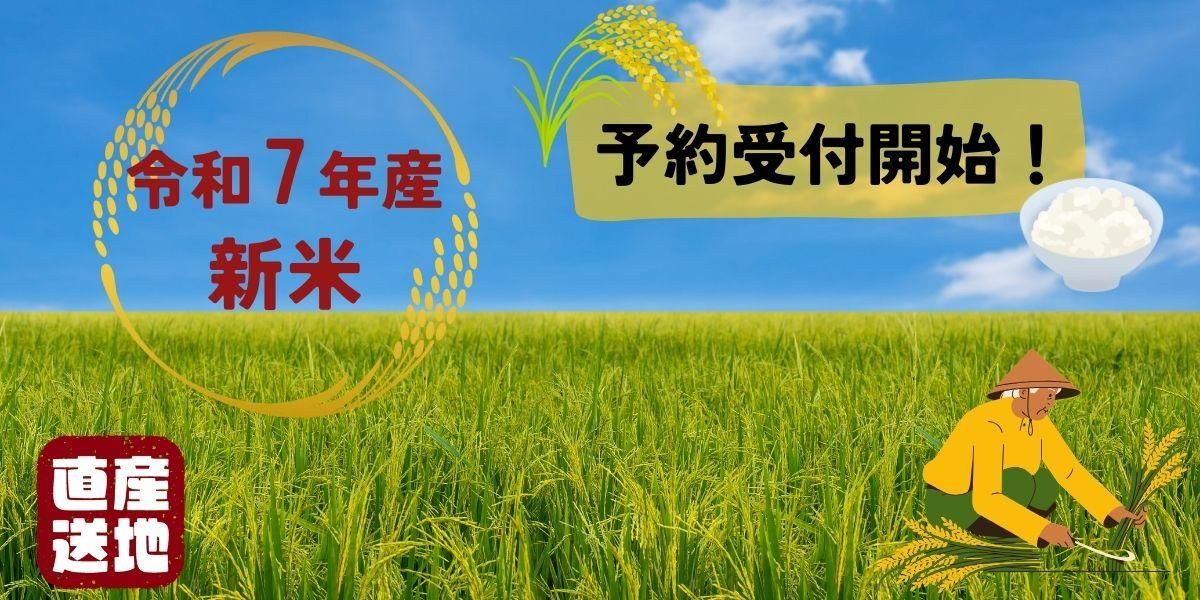 7ǯͽճ