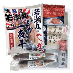 【直送商品】若潮丸船凍いか 産地直送酒田港まるごとセット