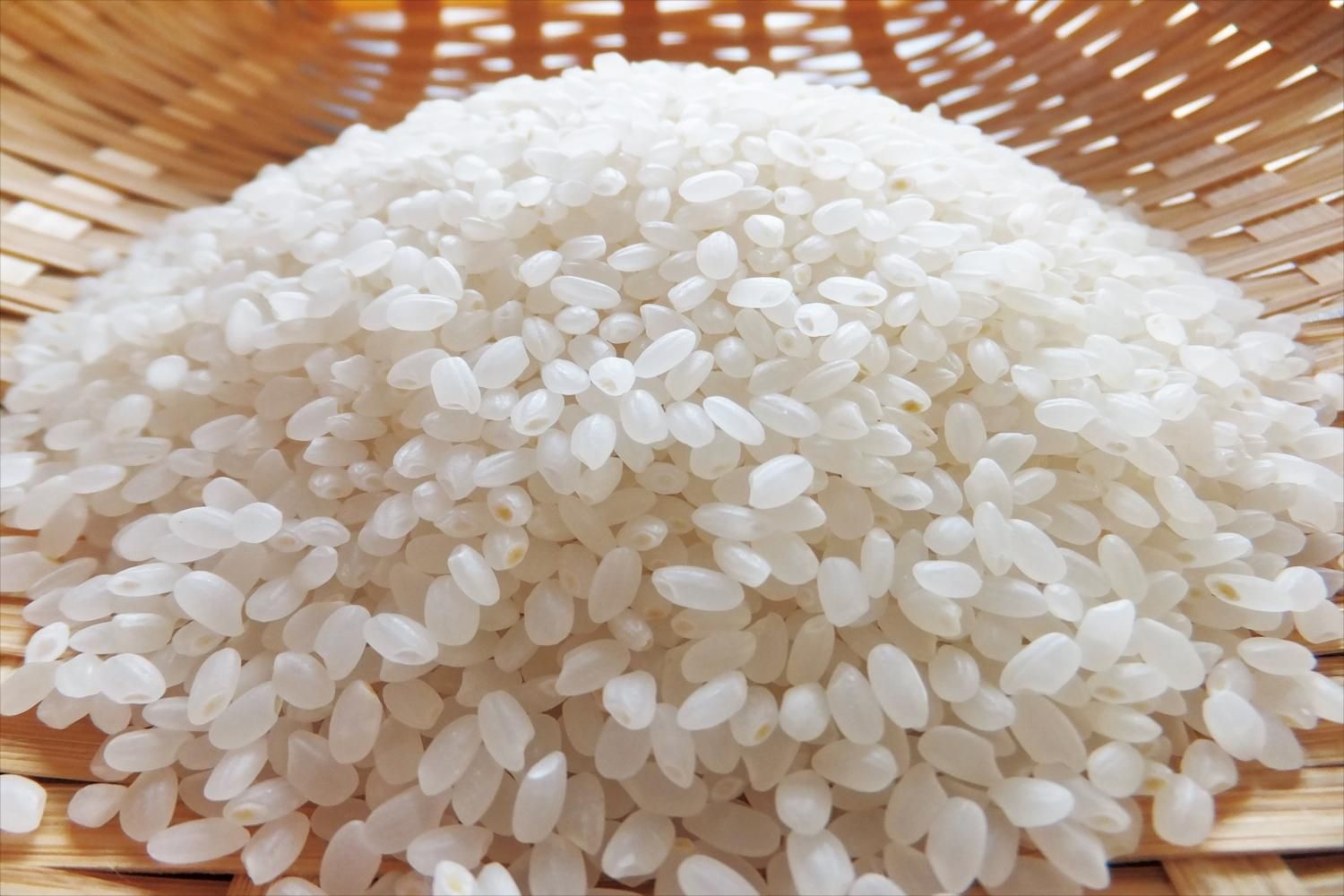 令和6年産】特別栽培米 湧水コシヒカリ10kg【エコ包装】 - どま 令和6年産】特別栽培米 湧水コシヒカリ10kg【エコ包装】 - どま