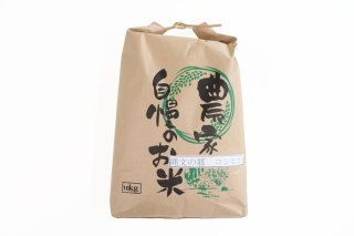 【令和5年度産】特別栽培米　縄文の郷コシヒカリ10kg【エコ包装】