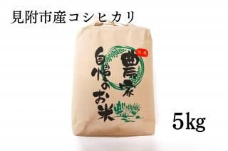 令和6年度新米 🌾※令和6年新米※高知産コシヒカリ 約10kg(9.5kg) 出荷直前に
