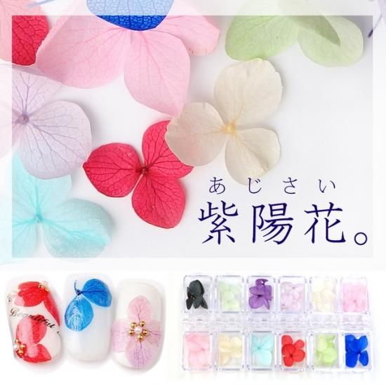 紫陽花 レジン封入ドライフラワー 全12色セット あじさいアナベルパーツ