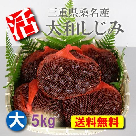 しじみ 蜆 シジミ 大和しじみ 桑名のしじみ 産地直送 通信販売 産直