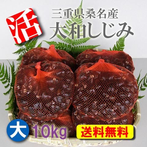 しじみ屋 桑名 大和しじみ 活しじみ 蜆 シジミ しじみ 産地直送