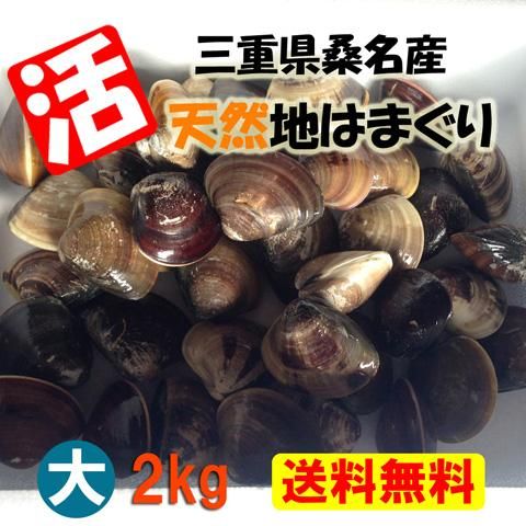 活はまぐり 蛤 ハマグリ 地はまぐり 焼きハマグリ 三重県 桑名産 はまぐり屋 産地直送 通信販売 産直 通販 販売 直販