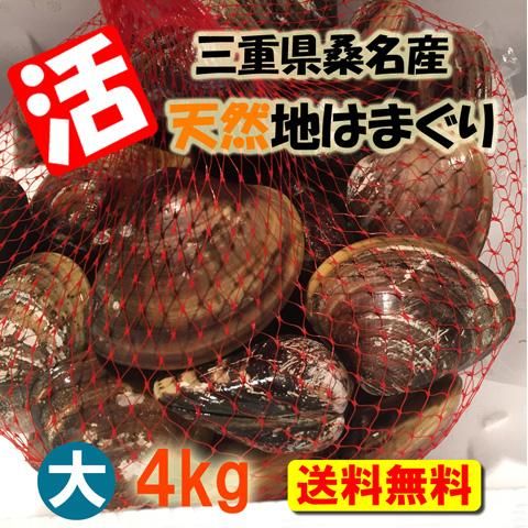 活はまぐり 蛤 ハマグリ 地はまぐり 焼きハマグリ 三重県 桑名産 はまぐり屋 産地直送 通信販売 産直 通販 販売 直販