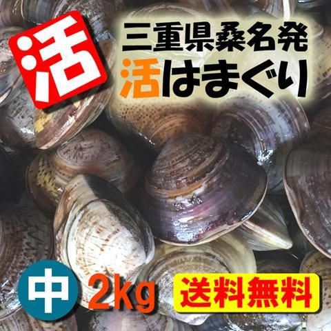 蓄養はまぐり 活かしハマグリ 活はまぐり 蛤 ハマグリ 地はまぐり 焼きハマグリ 三重県 桑名産 はまぐり屋 産地直送 通信販売 産直 通販 販売 直販