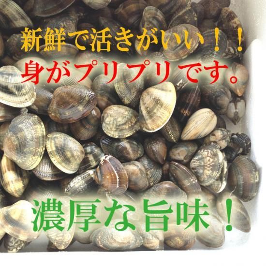 あさり様専用出品