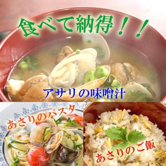 活あさり 国産 浅蜊 アサリ あさり あさり屋 産地直送 通信販売