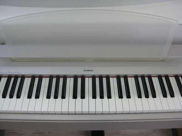 YAMAHA P-60 【大阪店での受け渡し限定です】 - 中古楽器専門店 YAMAHA P-60 【大阪店での受け渡し限定です】 - 中古楽器専門店