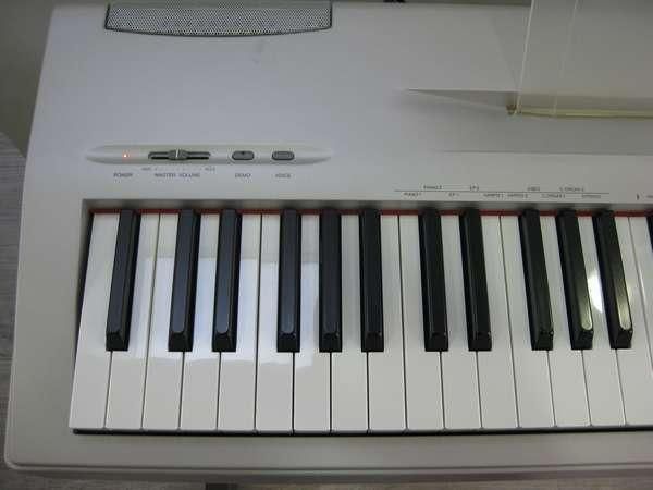 YAMAHA P-60 【大阪店での受け渡し限定です】 - 中古楽器専門店 YAMAHA P-60 【大阪店での受け渡し限定です】 - 中古楽器専門店