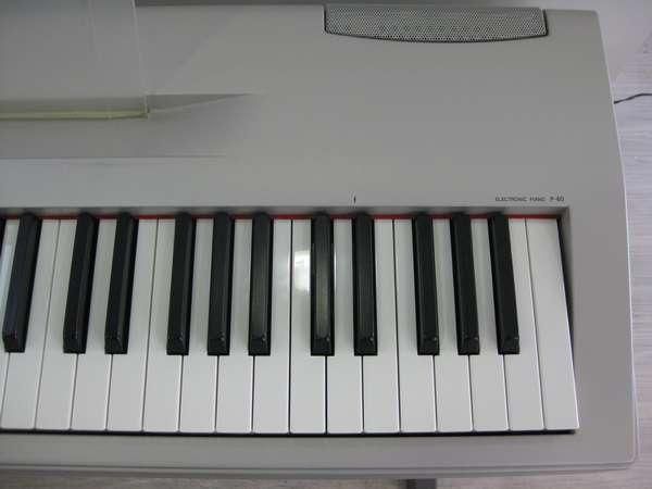 YAMAHA P-60 【大阪店での受け渡し限定です】 - 中古楽器専門店 YAMAHA P-60 【大阪店での受け渡し限定です】 - 中古楽器専門店