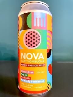 Υܥ֥饸 Υ ֥ ԡ ѥåե롼 / Novo Brazil NOVA Kombucha Acai Guarana