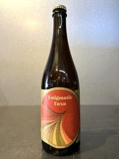  x ڥ˥ ˥ޥƥå / Jester King x Perennial Artisan Ales Enigmatic Taxa