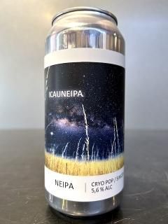 ݥѥ / Popihn ICAUNEIPA