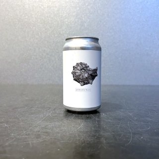 ޥʡ ʥȥեå / Amakusa sonar beer ammonite fossil