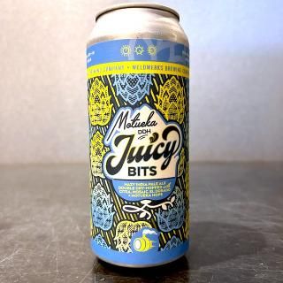 ウェルドワークス モツエカDD