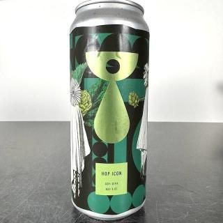 ƥͥ ۥåץ / Teenage Hop Icon