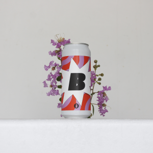 SAIRU BEER FOR NOW 激レア　7インチ mrprice-online-lifestyle-