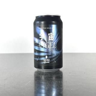 うちゅうブルーイング 宇宙エン